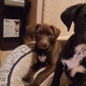 Meet your Posher, Ginny